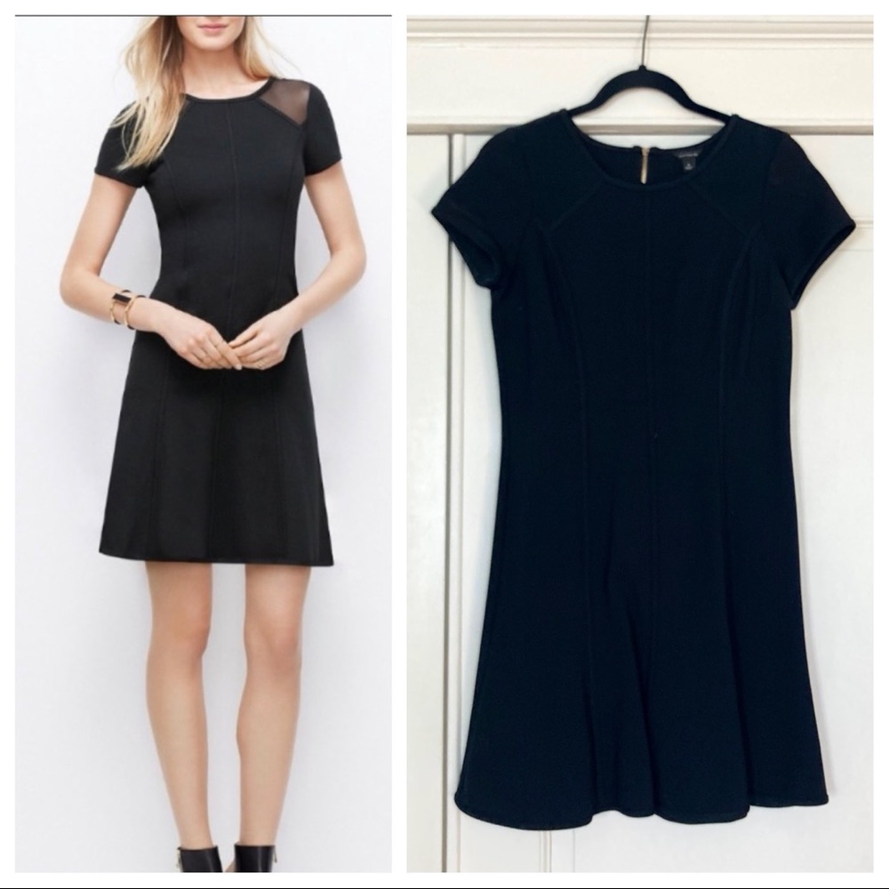 Worn Once - Ann Taylor Fit & Flare Dress Mesh Shoulders Gold Zipper - Size 4